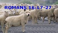 Romans 16:17-27